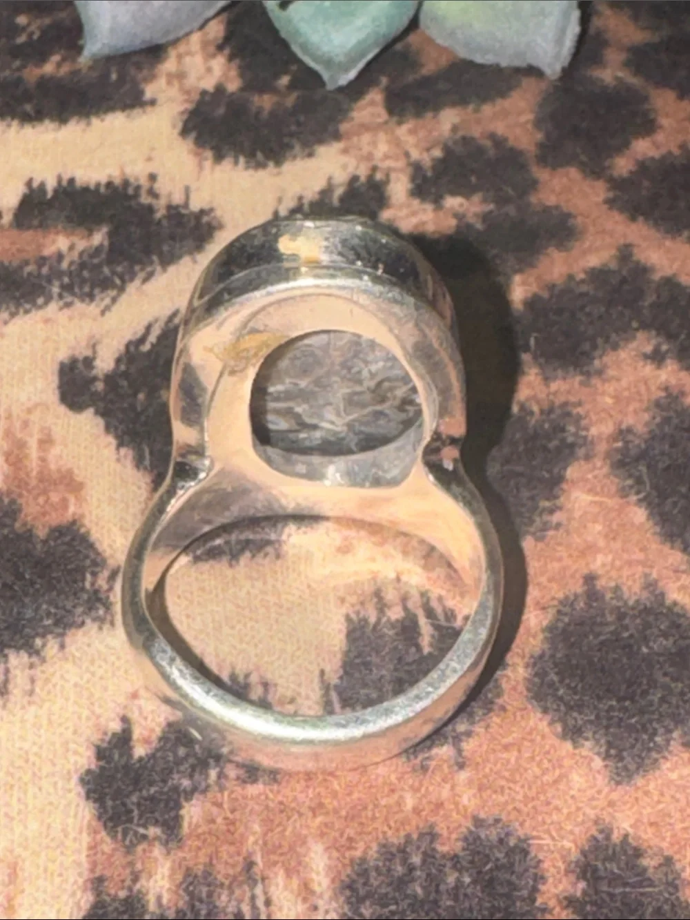 Turitella Jasper Silver Ring